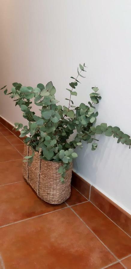 Hostal Sa Posada Set Cales Ciutadella  Dış mekan fotoğraf